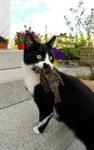 Poeslief !!